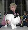 Catillak's Yo Vinnie of Toy Tricksy Catillak's Yo Vinnie of Toy Tricksy
